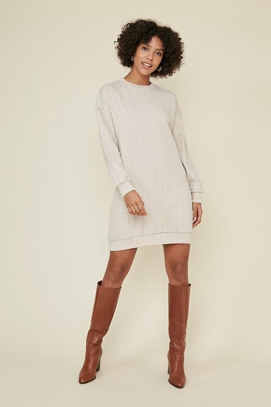 Oasis Cable Sweat Dress 2