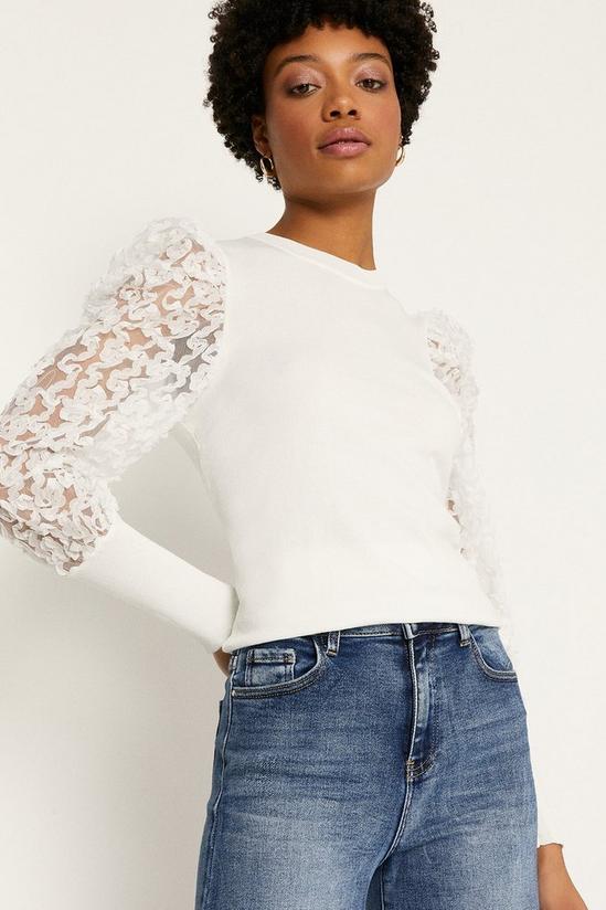 Oasis Sheer Puff Sleeve Knitted Jumper 2