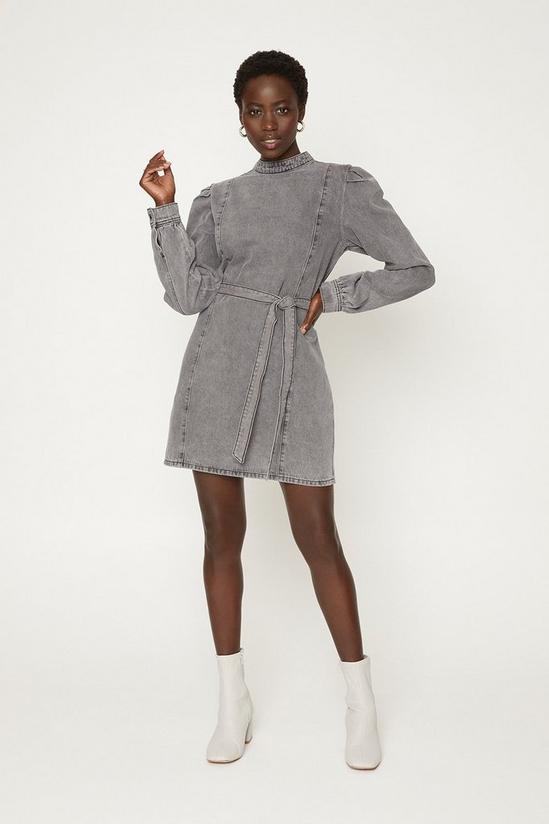 Oasis Puff Sleeve Belted Dress 1