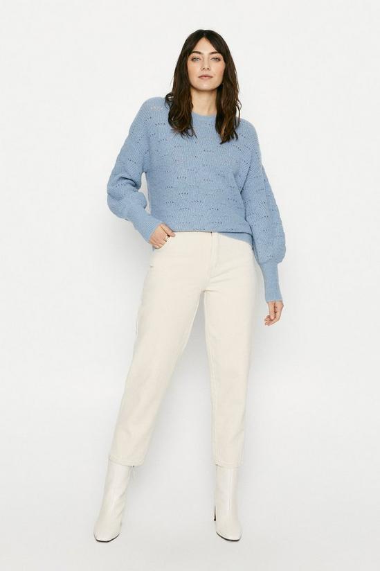 Oasis Cosy Pointelle Stitch Jumper 1