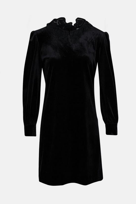 Oasis Lace Collar Velvet Dress 4