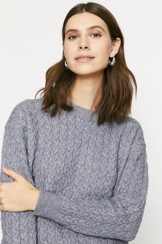 Oasis Cable Knit Jumper 2