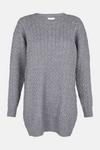 Oasis Cable Knit Jumper thumbnail 4