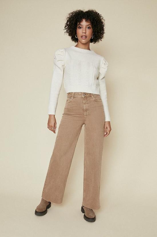 Oasis Puff Sleeve Knitted Crop Jumper 2