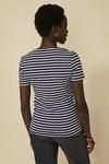 Oasis Cotton Fitted Stripe Crew Neck T Shirt thumbnail 3