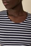 Oasis Cotton Fitted Stripe Crew Neck T Shirt thumbnail 4