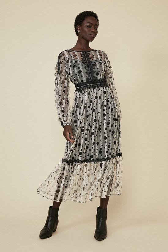 Oasis Spot Lace Trim Midi Dress 2