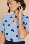 Oasis Frill Sleeve Spot Print 2 In 1 Dress thumbnail 4