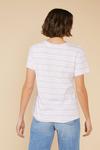 Oasis Sun Kissed Embroidered Stripe T Shirt thumbnail 3