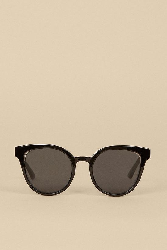 Oasis Rounded Cateye Sunglasses 1