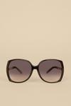 Oasis Chain Arm Detail Sunglasses thumbnail 1