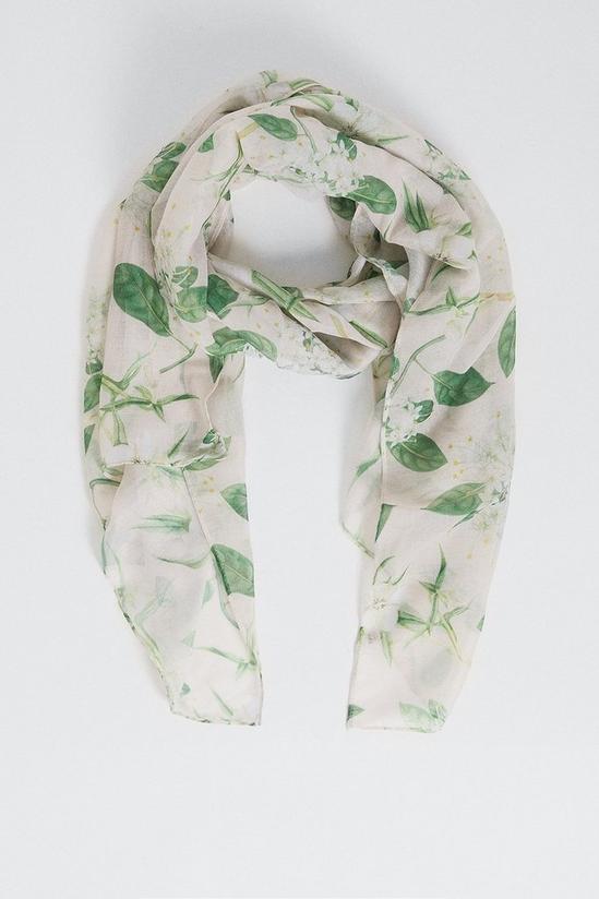 Oasis RHS Magnolia All Over Print Lightweight Scarf 1
