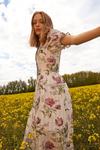 Oasis Stripe Organza Floral Print Midi Shirt Dress thumbnail 1