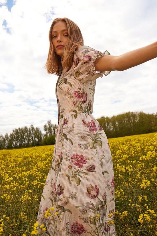 Oasis Stripe Organza Floral Print Midi Shirt Dress 1