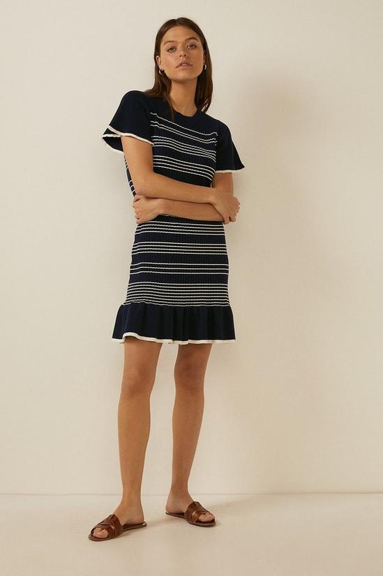 Oasis Stripe Knit Flippy Dress 1