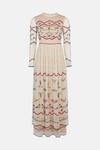 Oasis Dragonfly Embroidered Mesh Maxi Dress thumbnail 4