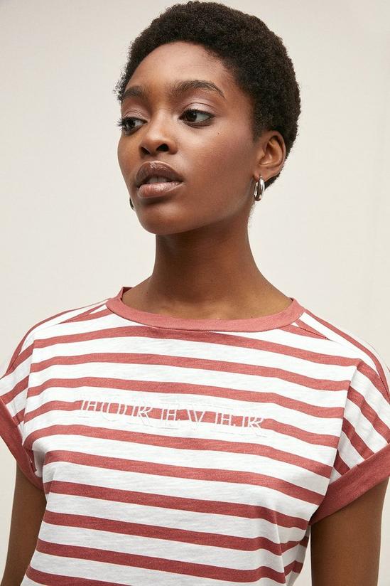 Oasis Cotton Forever Stripe T-shirt 2