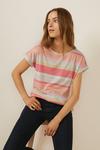 Oasis Rainbow Stripe Slub T Shirt thumbnail 2