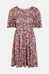 Oasis Dani Shirred Bodice Angel Sleeve Mini Dress thumbnail 5