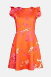 Oasis Orange Floral Print Scuba Skater Dress thumbnail 5