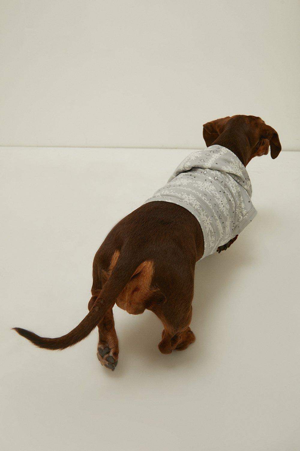 Dorothy perkins sausage outlet dog jumper