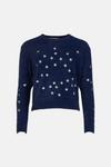 Oasis Star Embroidered Jumper thumbnail 4