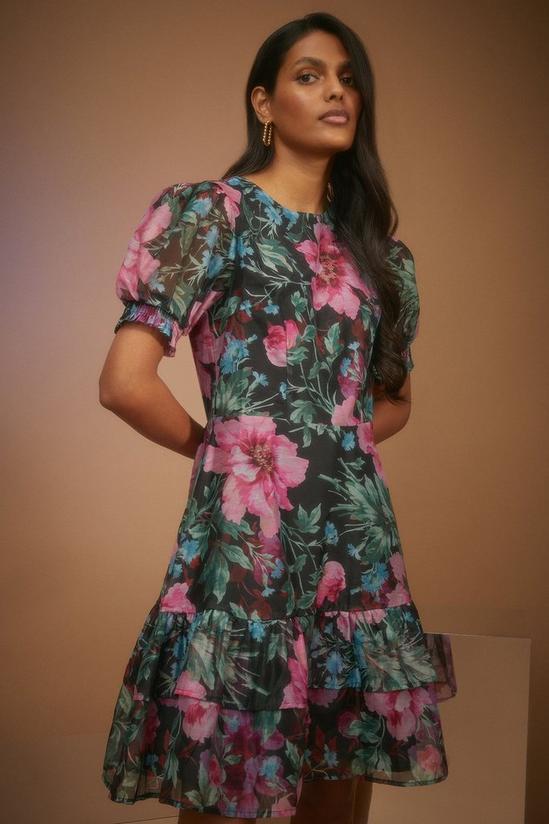 Oasis Bright Floral Organza Tiered Skater Dress 2
