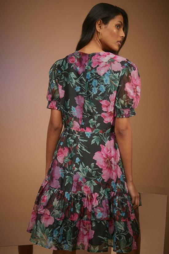 Oasis Bright Floral Organza Tiered Skater Dress 3