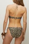 Oasis Shiny Leopard Print Tie Side Bikini Bottoms thumbnail 3