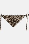 Oasis Shiny Leopard Print Tie Side Bikini Bottoms thumbnail 4