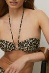 Oasis Shiny Leopard Print U Bar Halter Bikini Top thumbnail 2