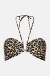 Oasis Shiny Leopard Print U Bar Halter Bikini Top thumbnail 4