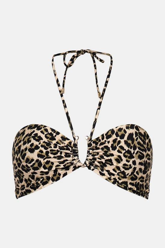 Oasis Shiny Leopard Print U Bar Halter Bikini Top 4