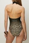 Oasis Shiny Ombre Leopard Print Plunge Swimsuit thumbnail 3