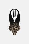 Oasis Shiny Ombre Leopard Print Plunge Swimsuit thumbnail 4