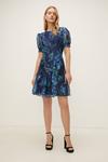 Oasis Wysteria Floral Organza Tiered Skater Dress thumbnail 1