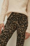 Oasis Printed Soft Touch Flared Trouser thumbnail 2