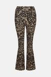 Oasis Printed Soft Touch Flared Trouser thumbnail 4