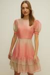 Oasis Organza Ombre Tiered Skater Dress thumbnail 2