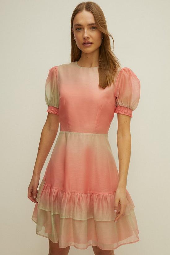 Oasis Organza Ombre Tiered Skater Dress 2