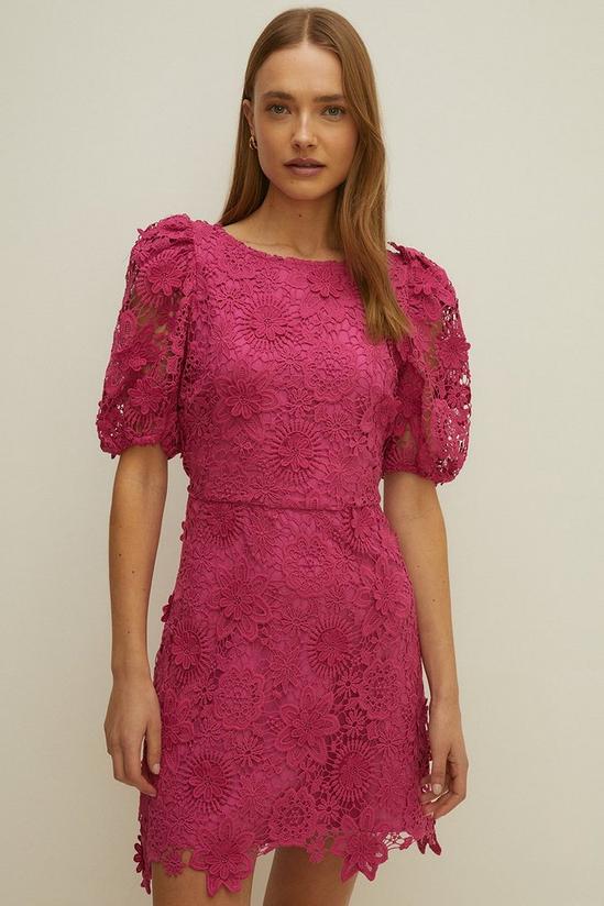 Oasis Lace Puff Sleeve A Line Dress 1