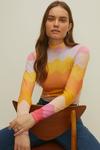 Oasis Textured Mesh Rainbow Wave Funnel Neck Top thumbnail 2