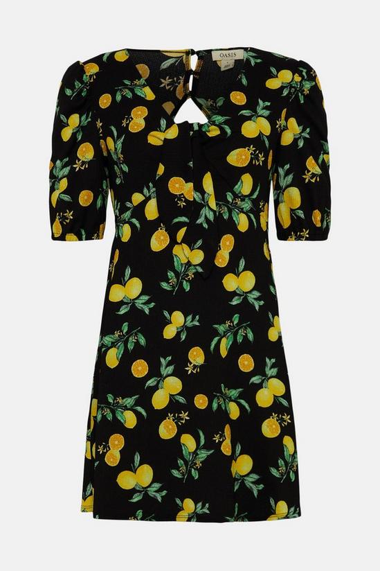 Oasis Petite Textured Fruit Tie Front Mini Dress 4
