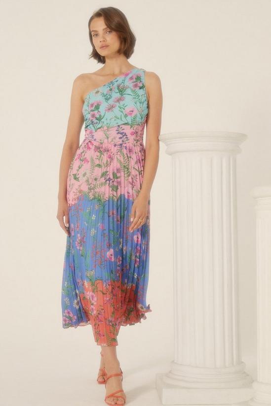 Oasis Floral Pleated One Shoulder Dress 1