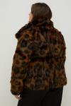 Oasis Plus Size Animal Faux Fur Collared Coat thumbnail 3