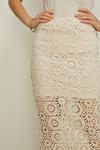 Oasis Rachel Stevens Embroidered Lace Midi Skirt thumbnail 5