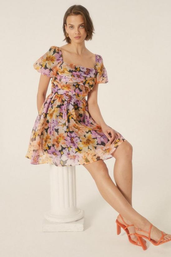 Oasis Petite Floral Organza Ruched Mini Dress 1