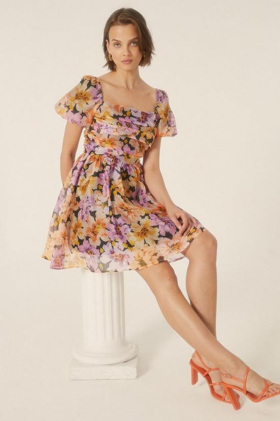 Oasis Floribunda Floral Organza Ruched Mini Dress 1