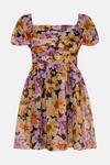 Oasis Floribunda Floral Organza Ruched Mini Dress thumbnail 4