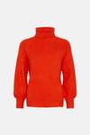 Oasis Cosy Roll Neck Jumper thumbnail 4